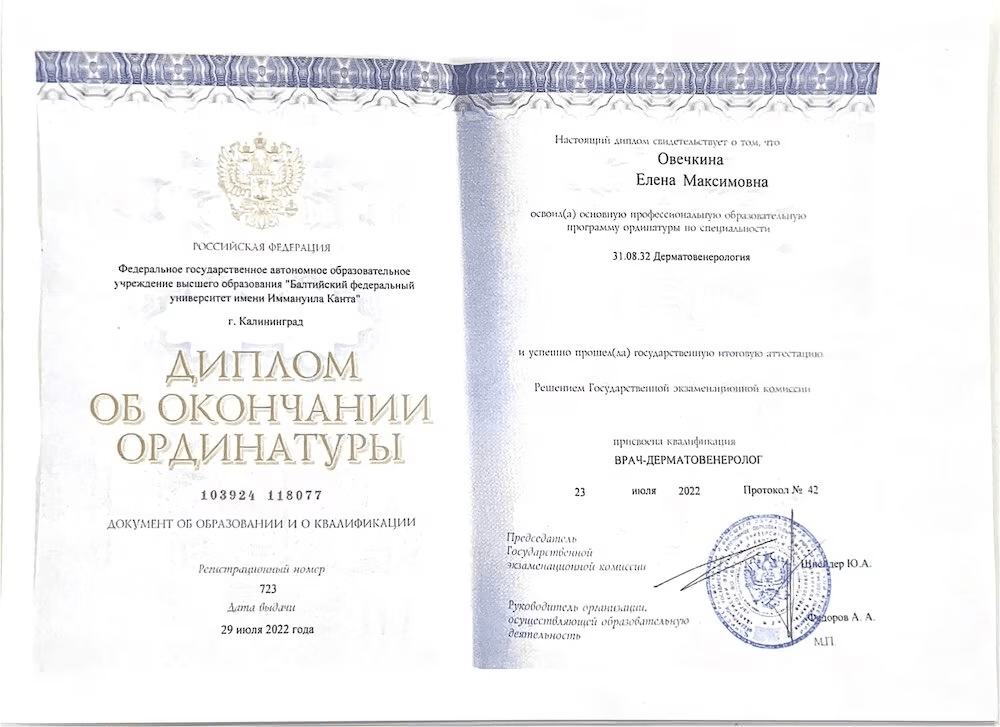 Диплом или сертификат Овечкина Елена Максимовна, 3